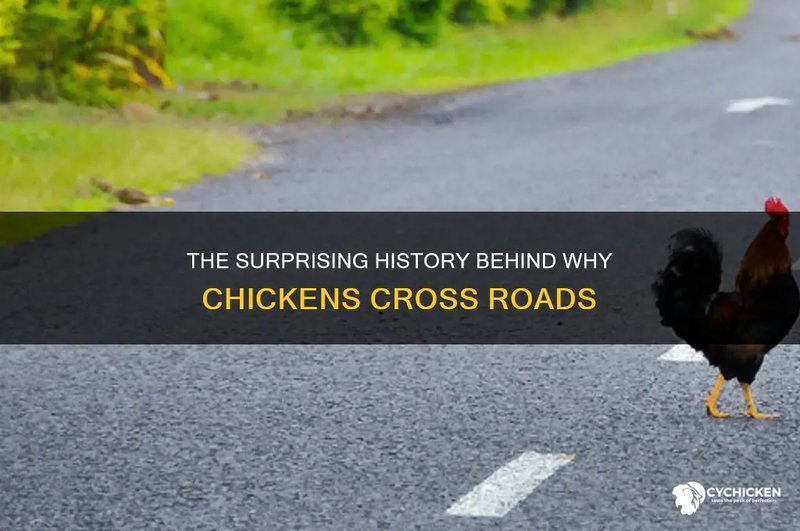 Image: Descubre El Múnico Misterio de la Carretera Pollo en España